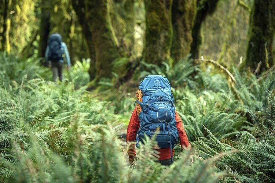 Прокат палатки, намету, спальника, рюкзака | Оренда рюкзака