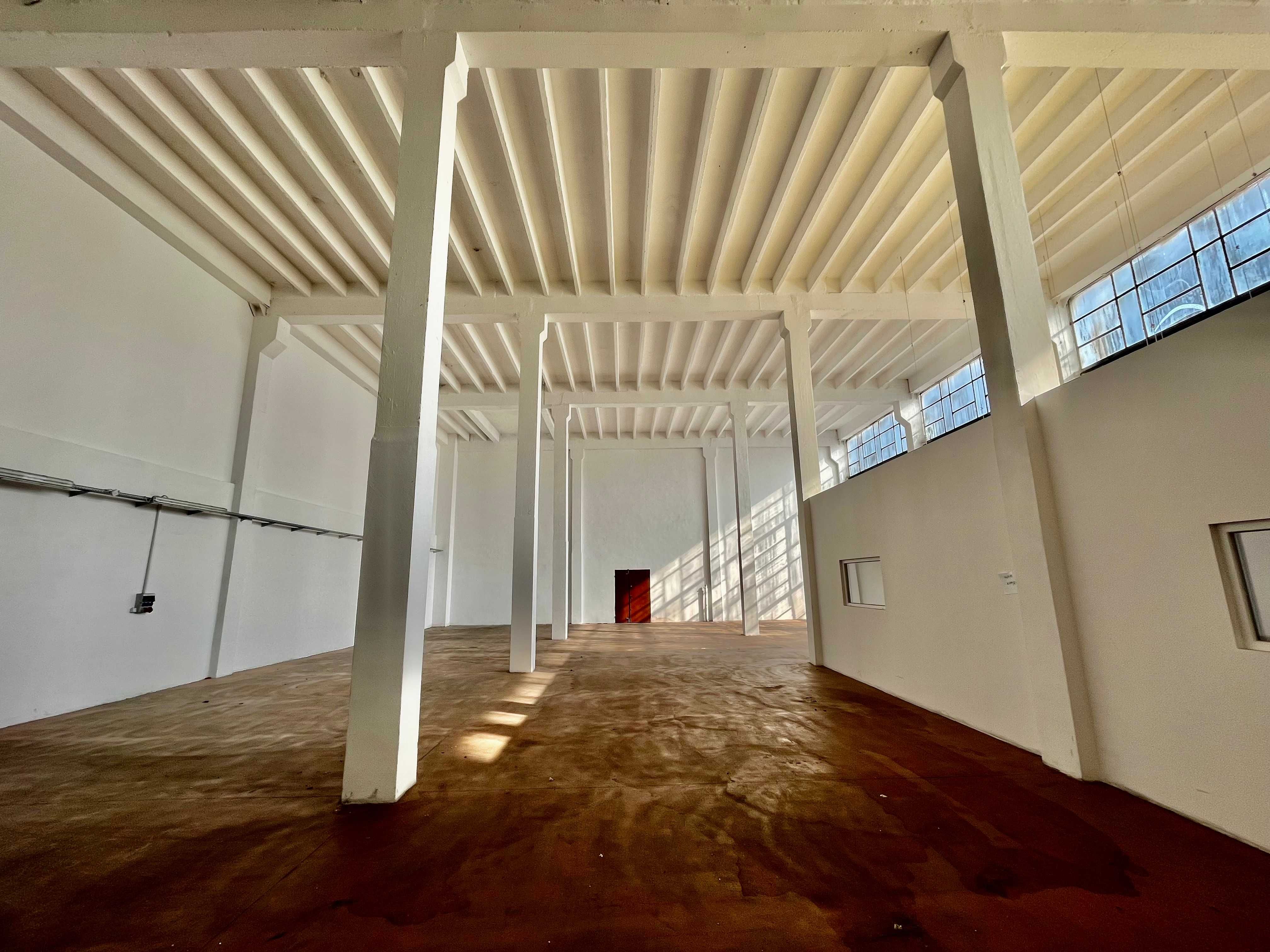 550 m2 - hala Teofilów - wynajmę