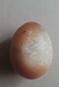 Яйцо селенит 450 грн