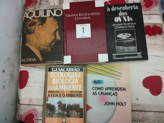 Vários livros de literatura nacional e internacional