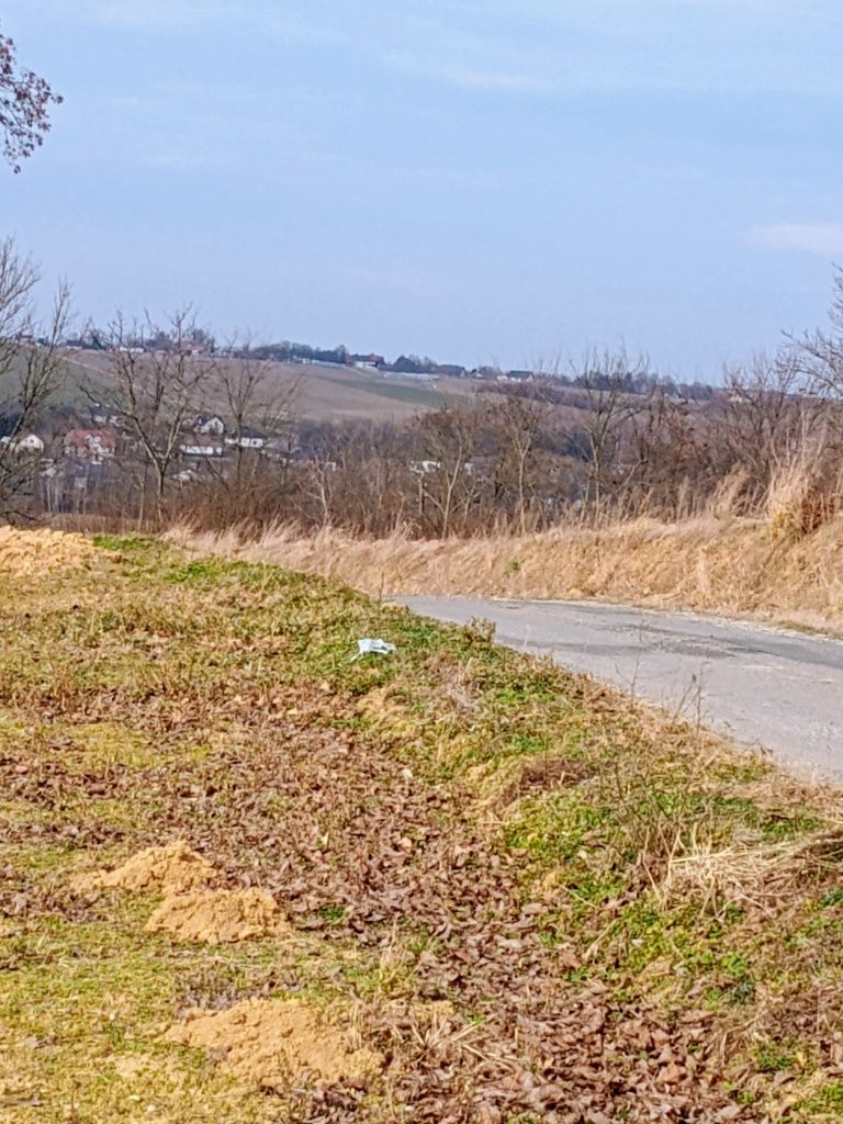 Działka zagrodowa Łopuszka Mała