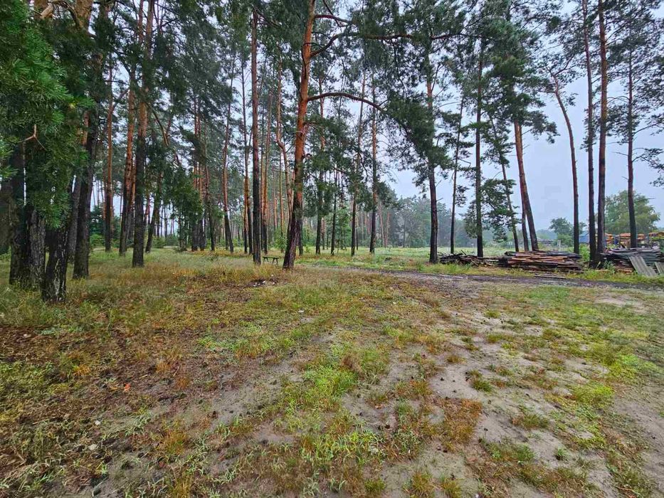 Ділянка з дачним будинком 25 соток  Комарівка Ліс