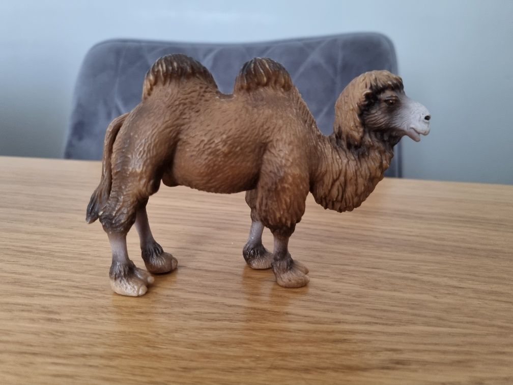 Wielbłąd schleich figurka