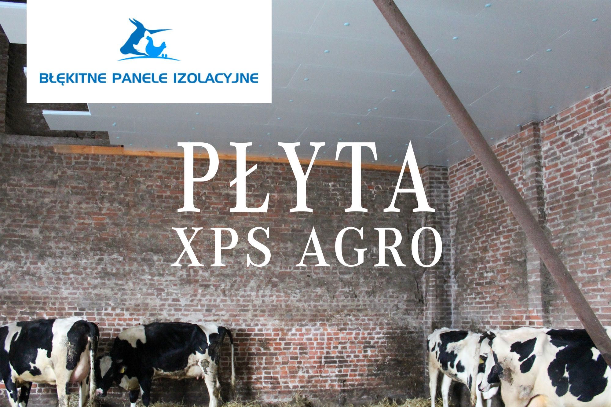 Ocieplenie Kurnika Obory Chlewni Tuczarni Płyty Styrodur XPS AGRO