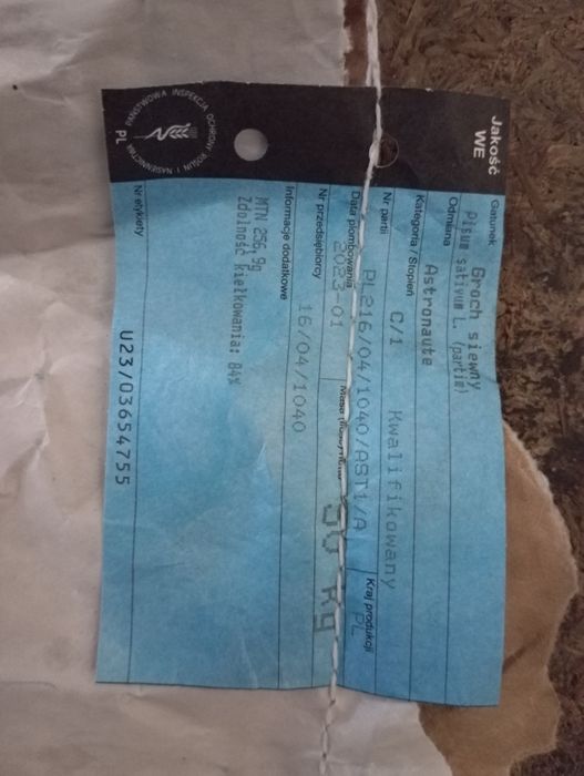 Groch ASTRONAUTE po kwalifikacie