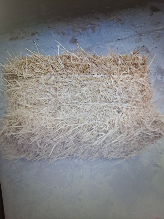 Słoma owsiana sprzedam
