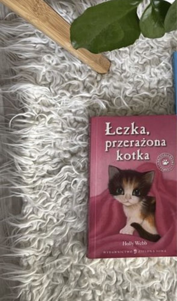 Lezka przerazona kotka