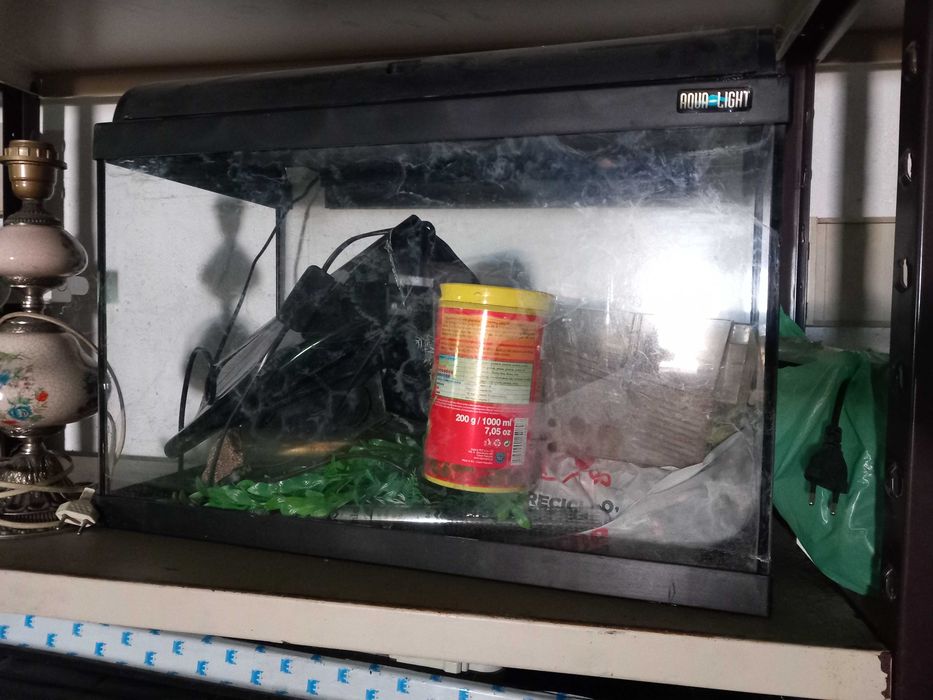 Aquário  peixes 60L