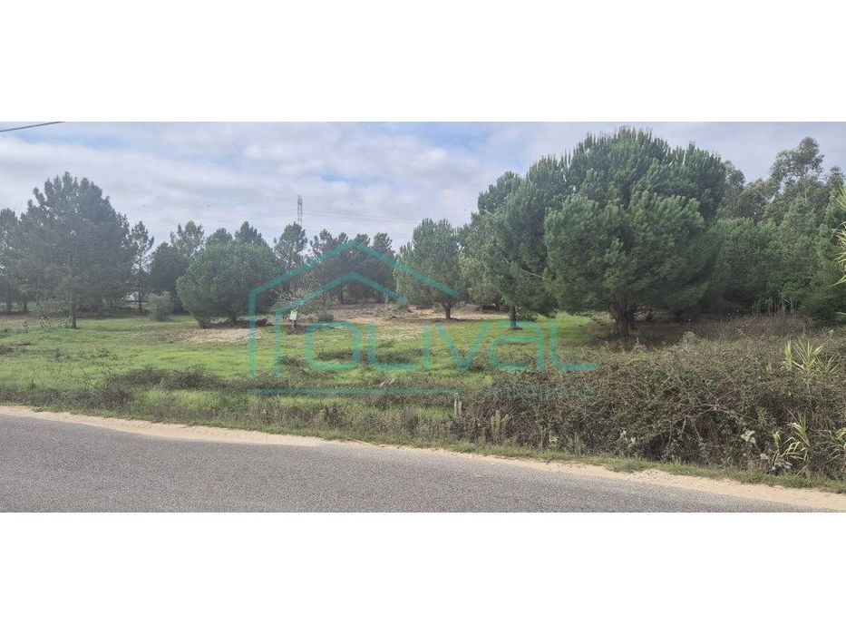 Terreno Foros da Charneca