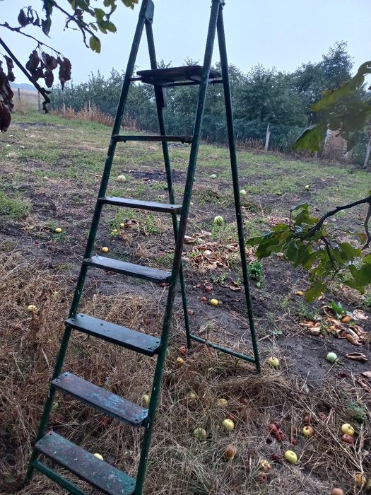 Розкладна металева драбина