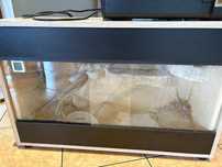 Małe Terrarium do gekona ze światłem