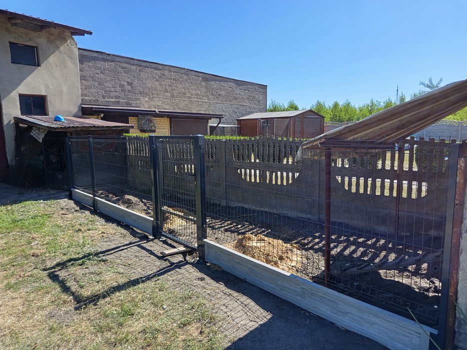 Ogrodzenie panel panelowe