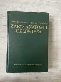 Zarys Anatomii człowieka A. Krechowiecki