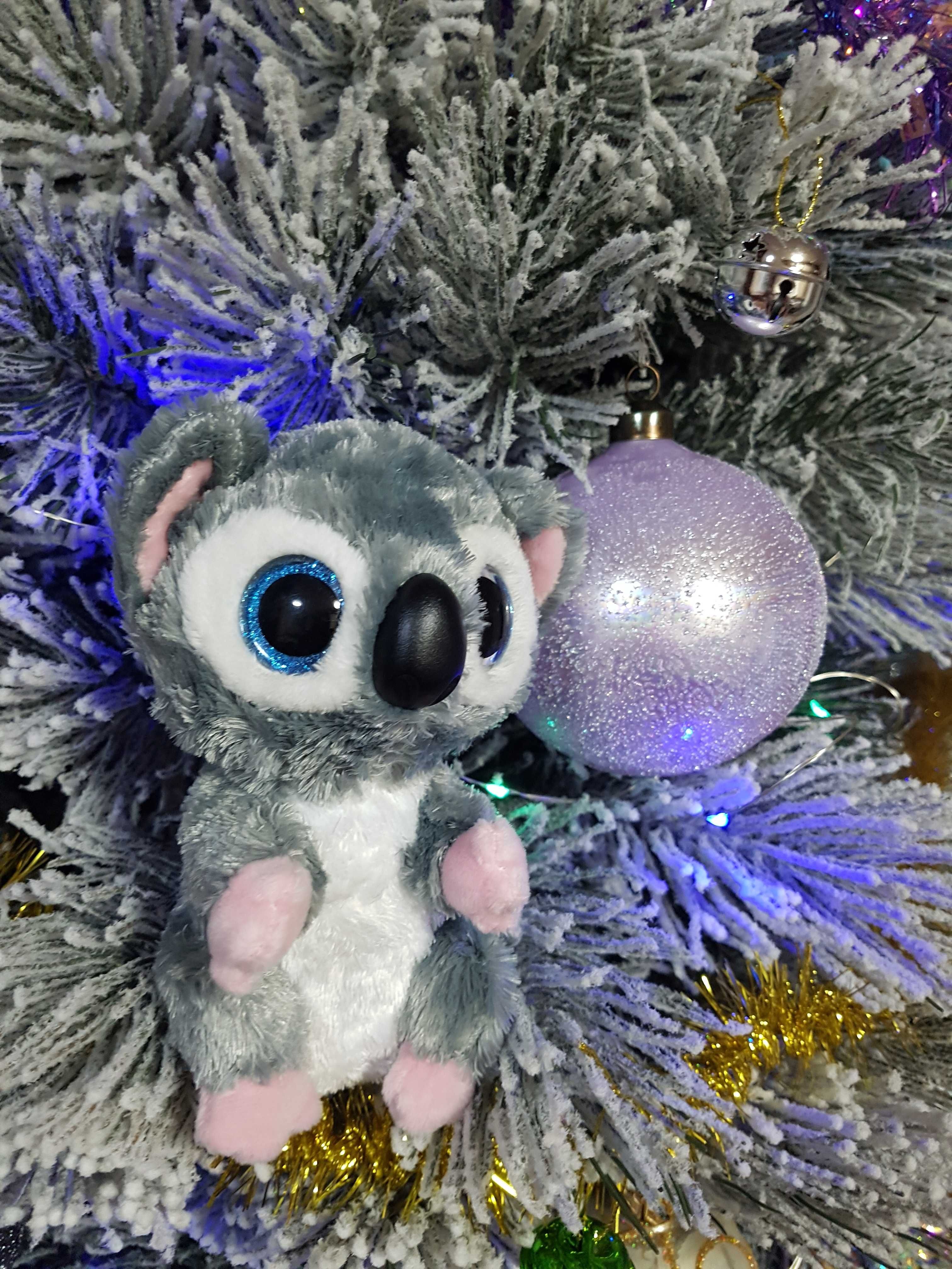 TY Beanie Boos глазастик коала Katy Koala 15 см