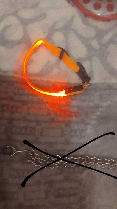 Повідок та ошийники