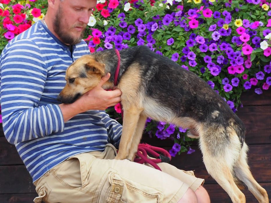 Młodziutki pies Frik szuka swego domu