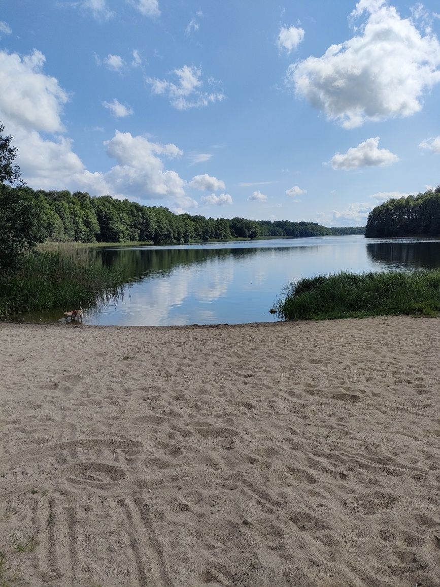 Domek z balią jacuzzi nad jeziorem wolne terminy