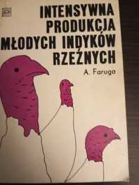 Intensywna Produkcja Młodych Indyków Rzeźnych