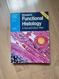 Wheater histologia po angielsku