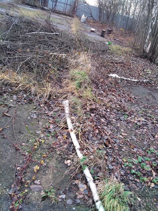 Drewno opałowe, gałęziówka, biomasa gratis oddam