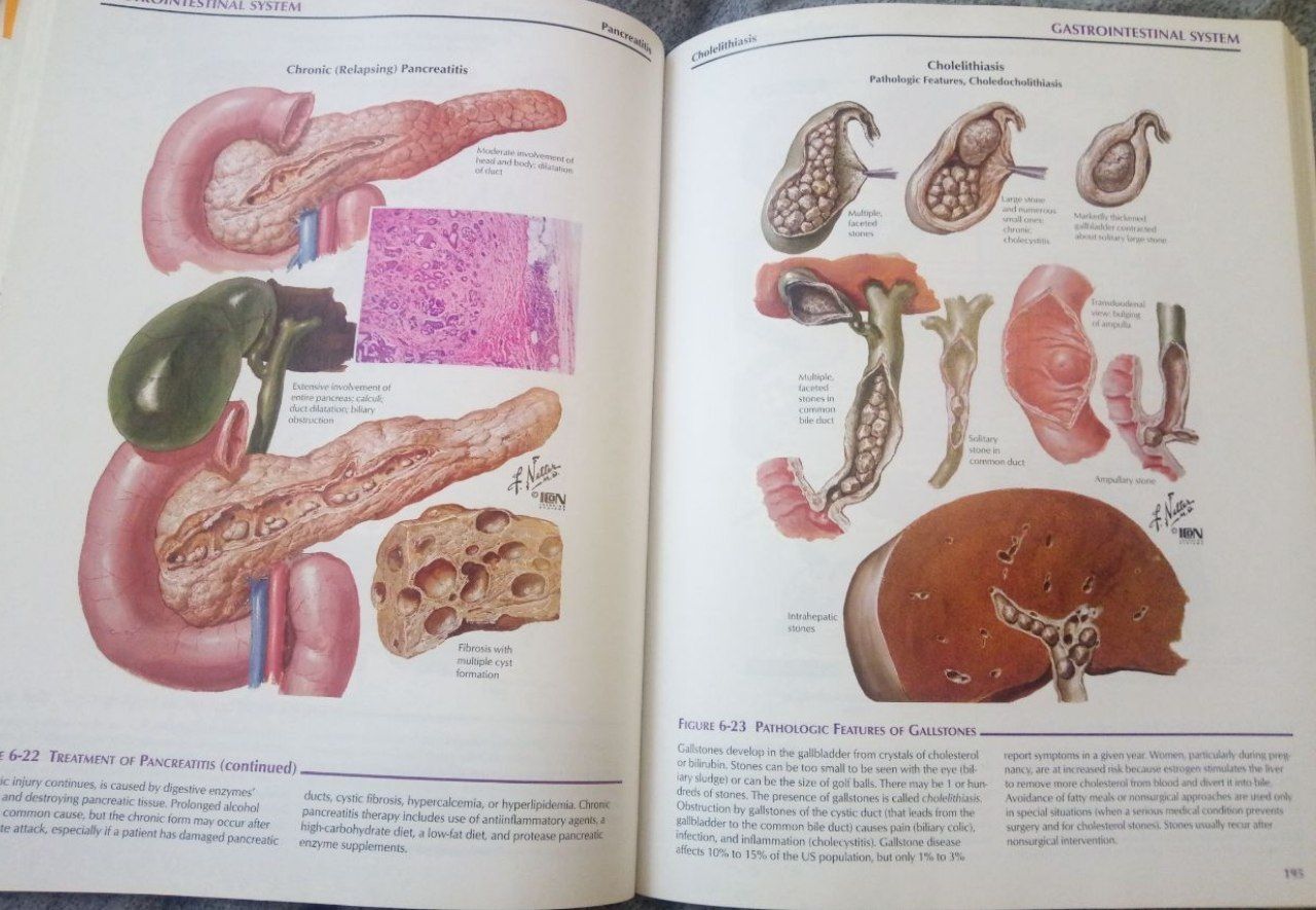 Ілюстрована фармакологія Неттера / Netter's Illustrated Pharmacology.