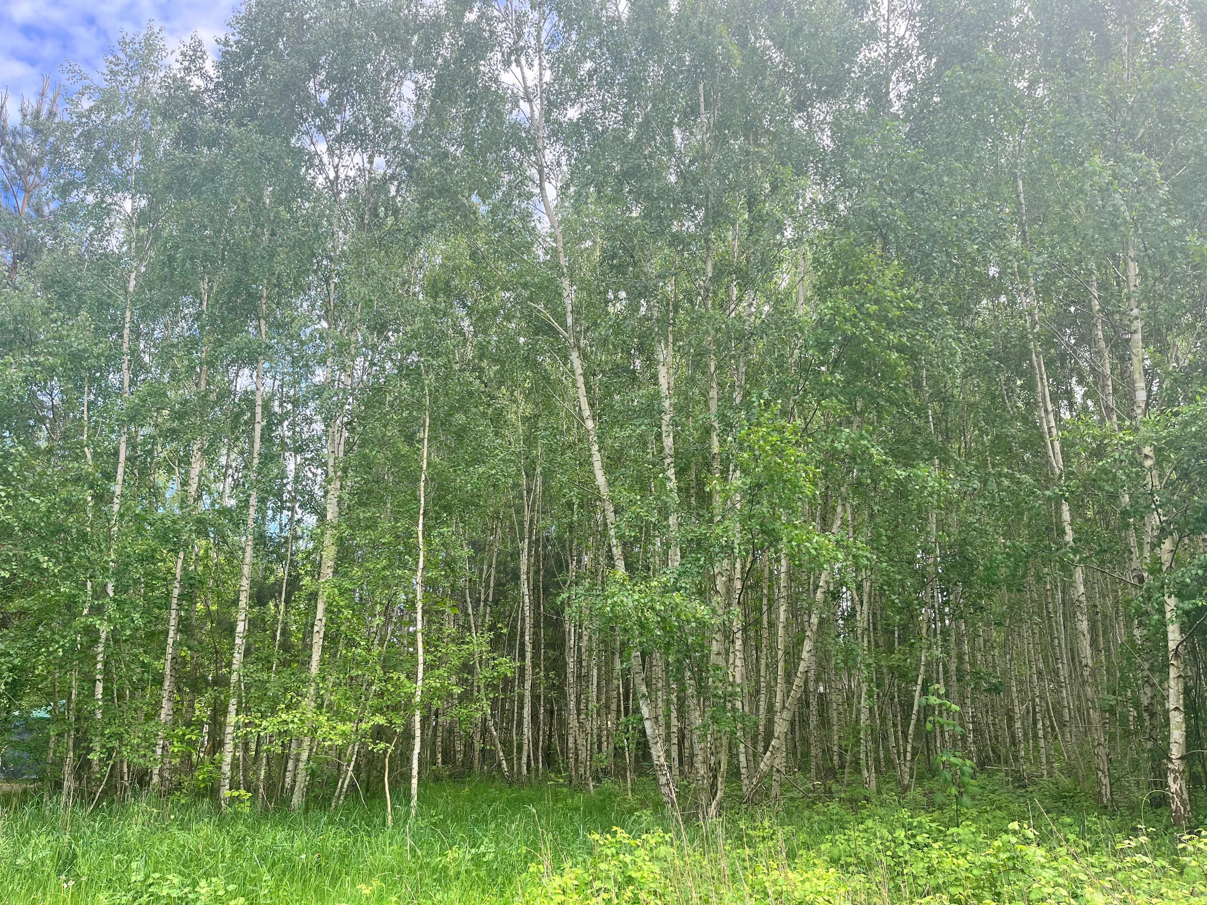 Działka nad jeziorem! Pojezierze Brodnickie, cisza, natura, relaks!