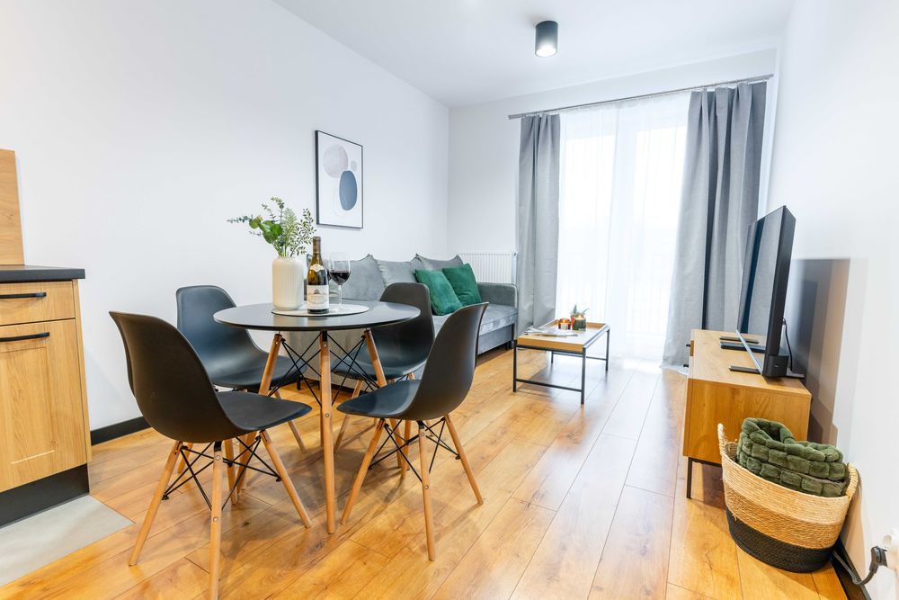 River Song Apartment, noclegi Kurza Góra, Kurzętnik