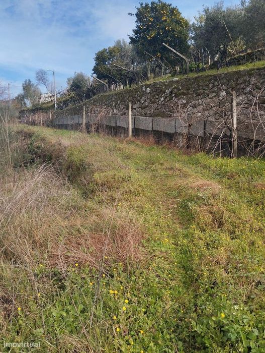 Terreno com projeto para dispensa agrícola em Santa Cruz do Douro, Bai