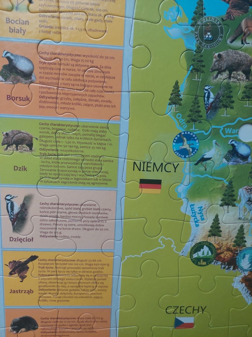 Puzzle dwustronne Moja piękna Polska, mapa Polski