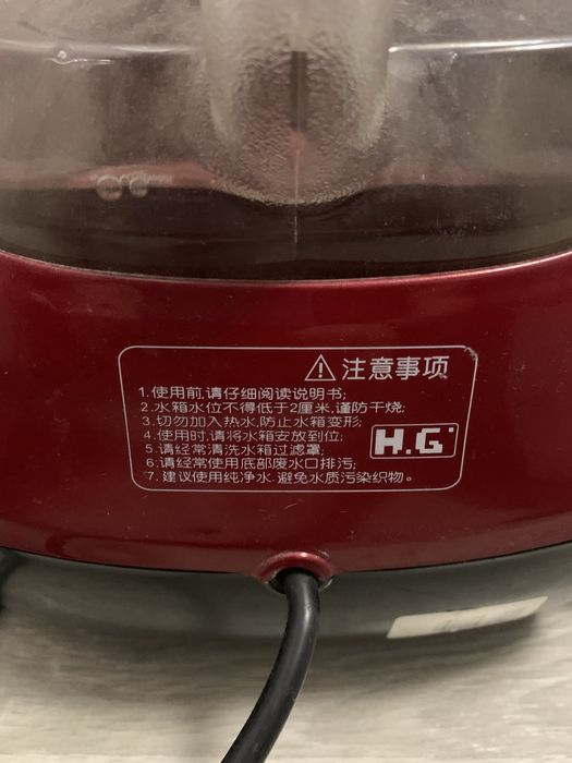 Парова вертикальна праска QZ 01 2030w з компрессором (HG)