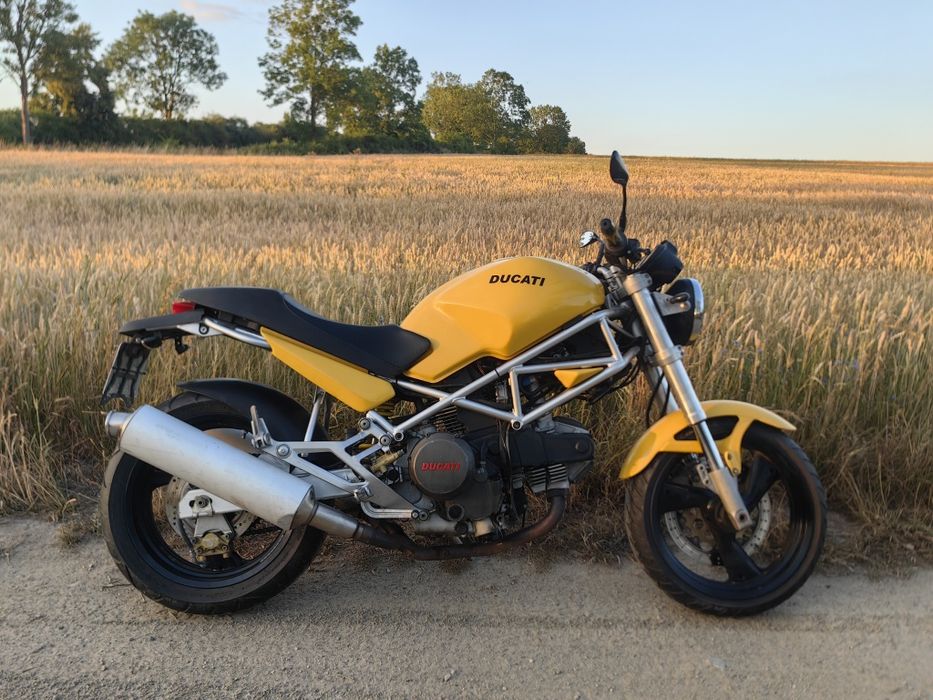 Ducati Monster 600 świeżo po DUŻYM serwisie