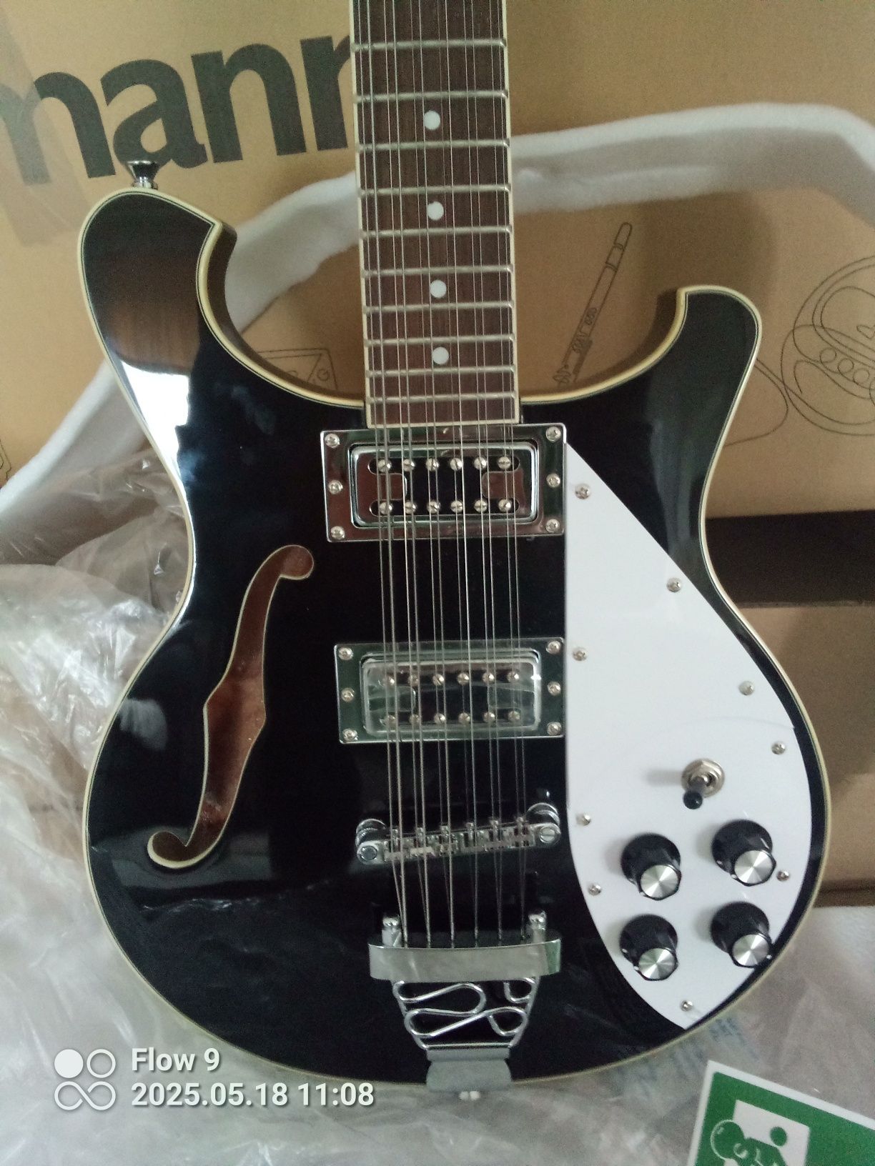 Gitara elektryczna dwunastostrunowa