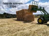 Feno de azevem de boa qualidade