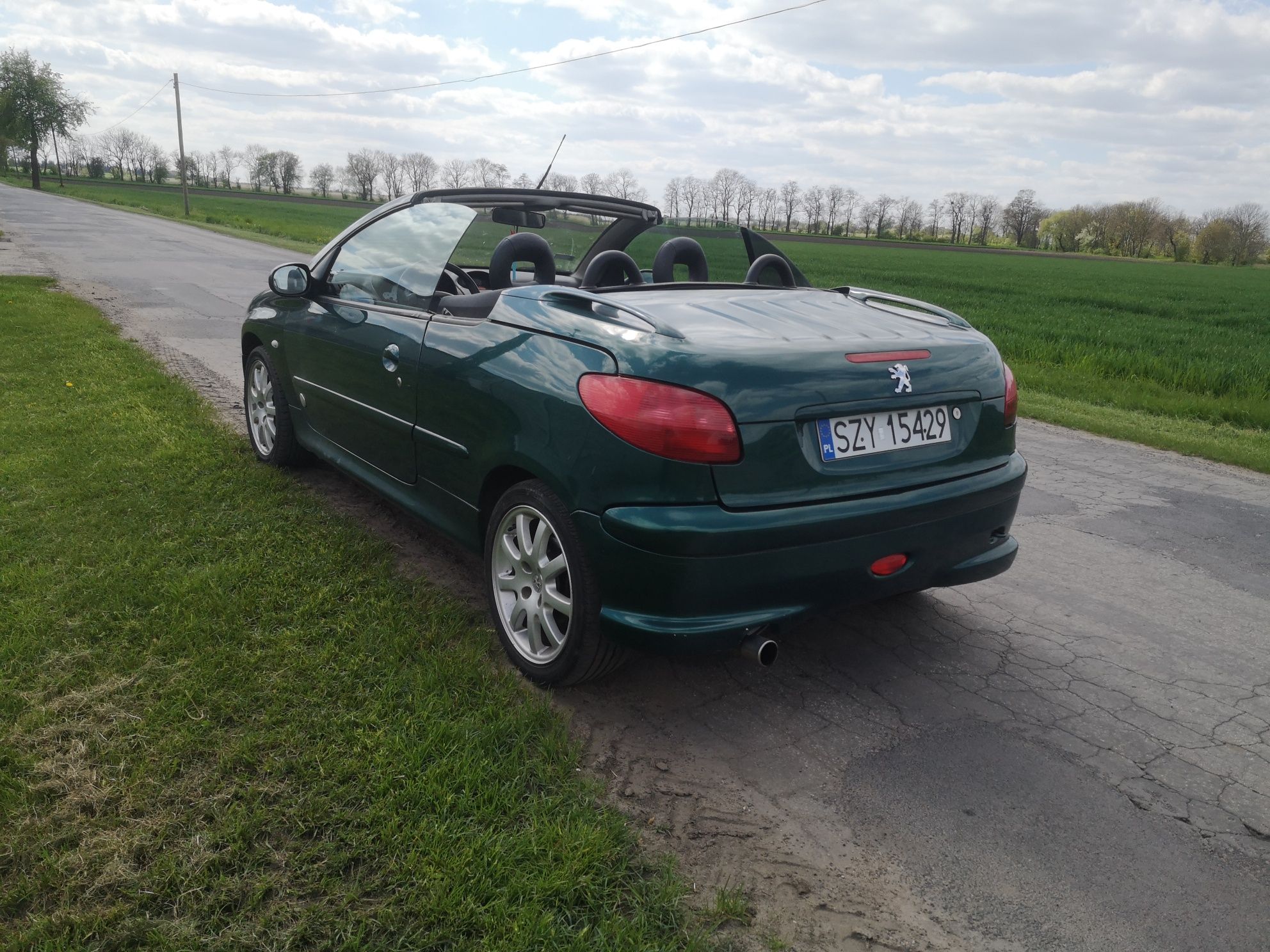 Peugeot 206 cc cabrio 2.0