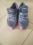 Buty Adidas climacool 43 1/3