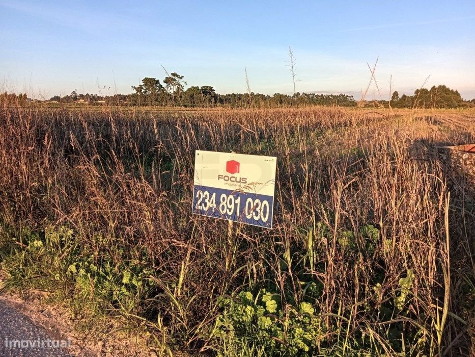 Terreno com 12 m de frente a poucos minutos do centro de Vagos