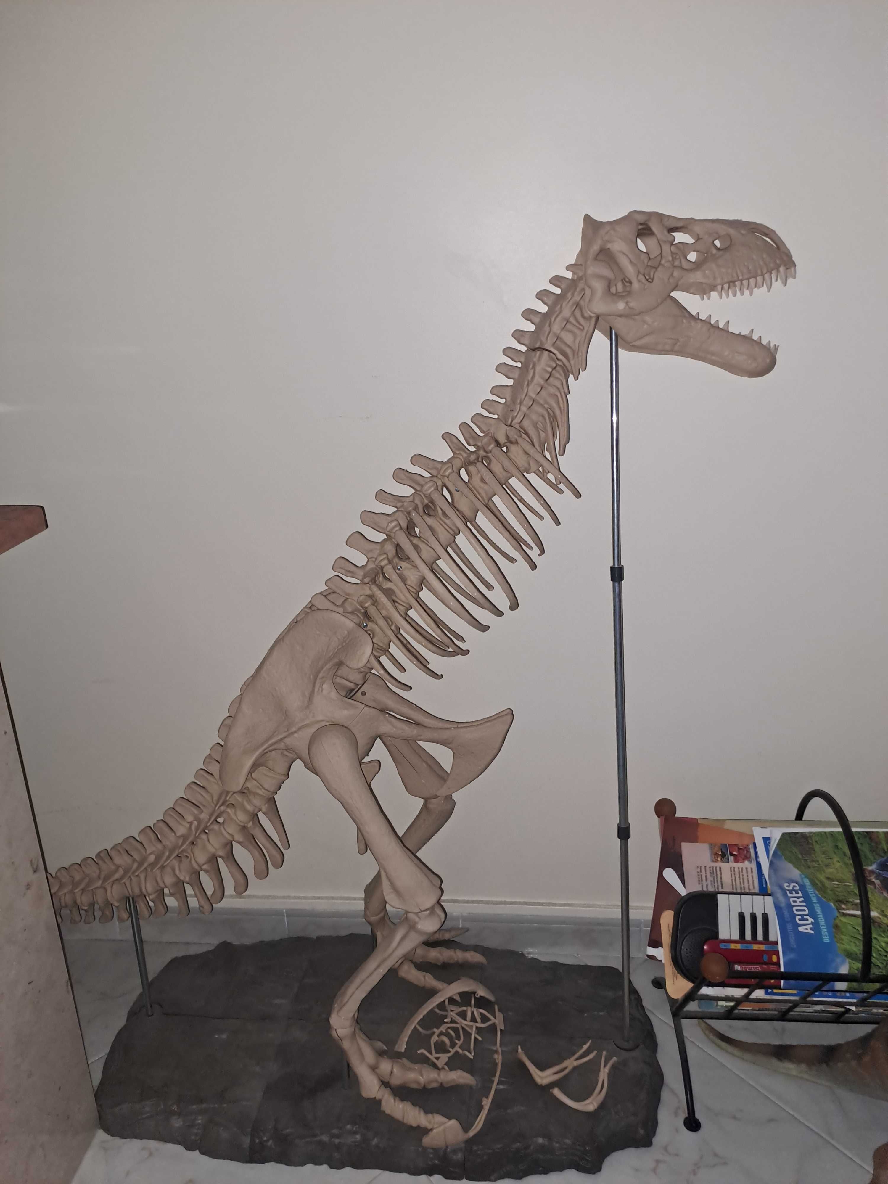Esqueleto Dinossauro TRex