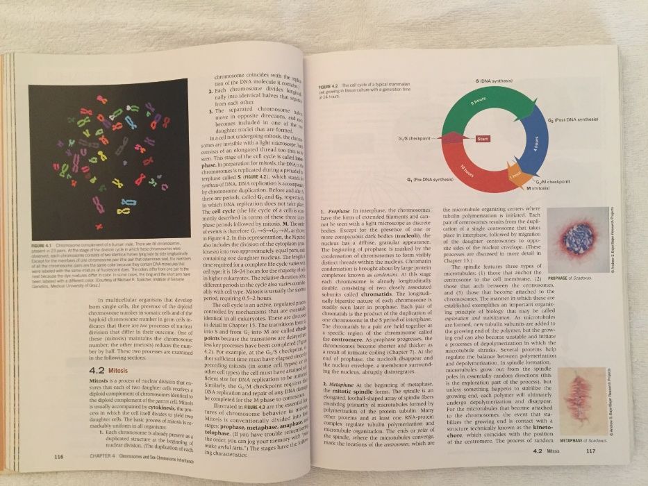 Livro de Genética Genetics: Analysis of Genes and Genomes