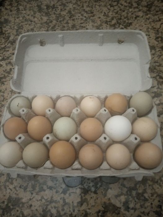 Ovos galados maline caseiros