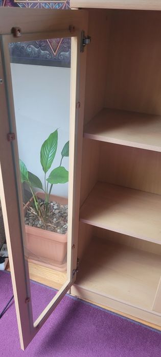 Witryna oszklona szafka z drzwiami buk BRW zestaw POP 113/74/33 cm