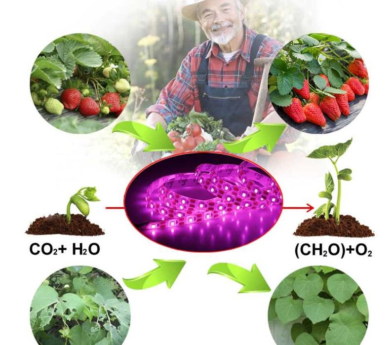 Фіто LED стрічка для рослин з USB
