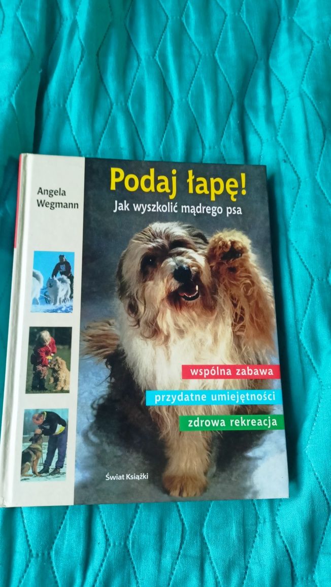 Książka poradnik Angela Wegmann 'Podaj łapę. Jak wyszkolić mądreg psa"