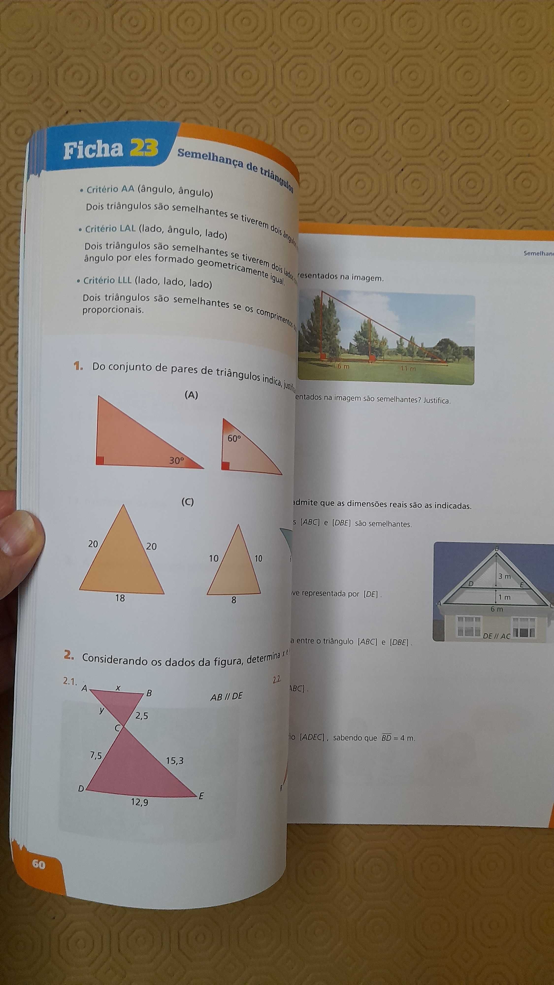 Matemática 7o ano exercicios.