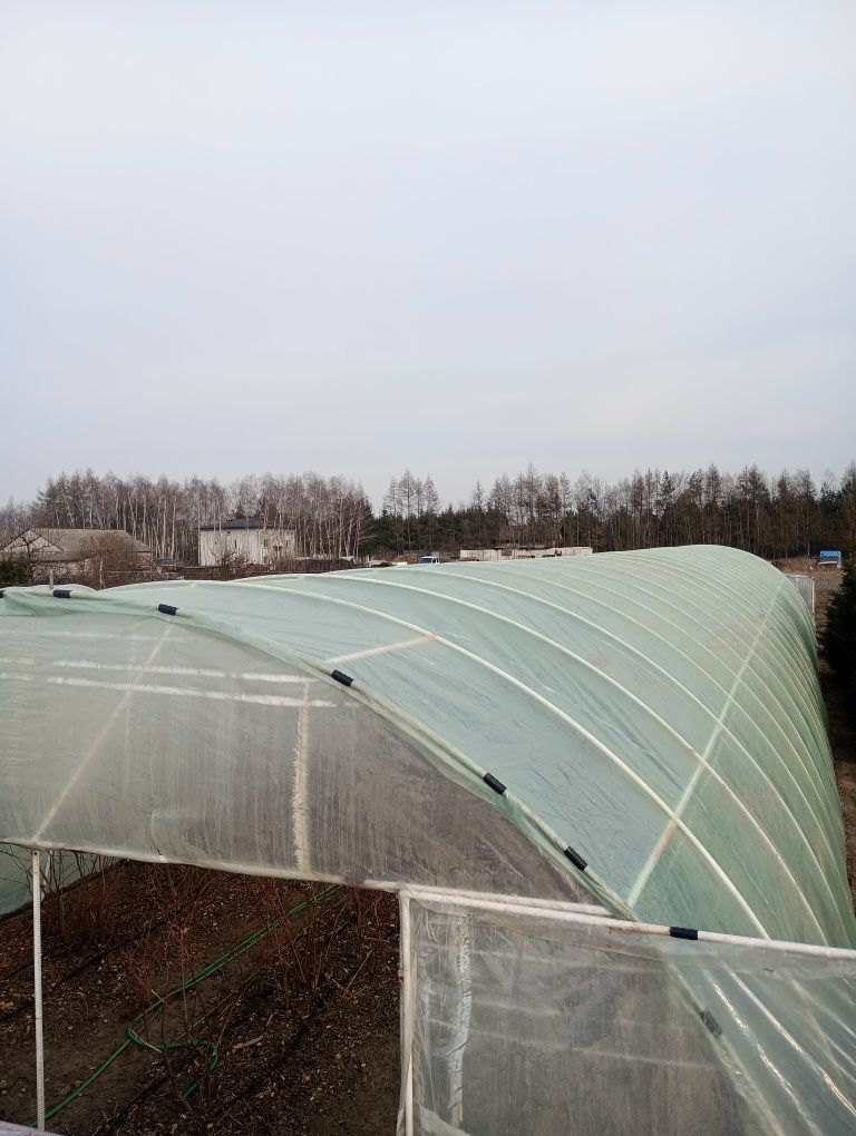 Tunel foliowy 32/7