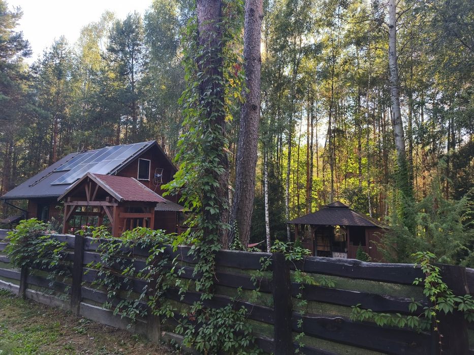 Domek zalew Chańcza całoroczny