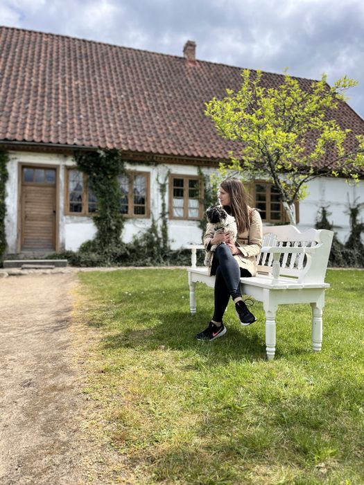 Angielski - pomoc online - szkoła podstawowa i średnia