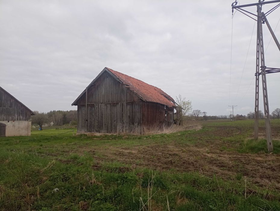 Rozbiórki stodół drewnianych. Stodoła. Rozbiórka.