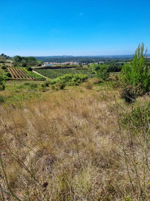Terreno agricola e florestal - 3€/m2
