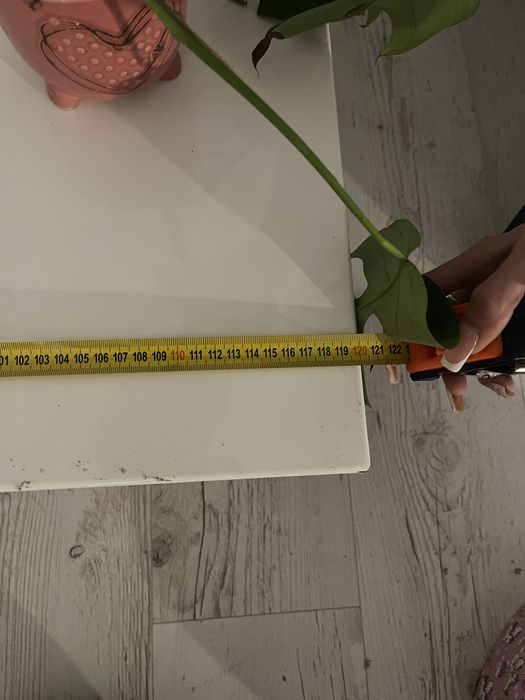 stolik kawowy biały