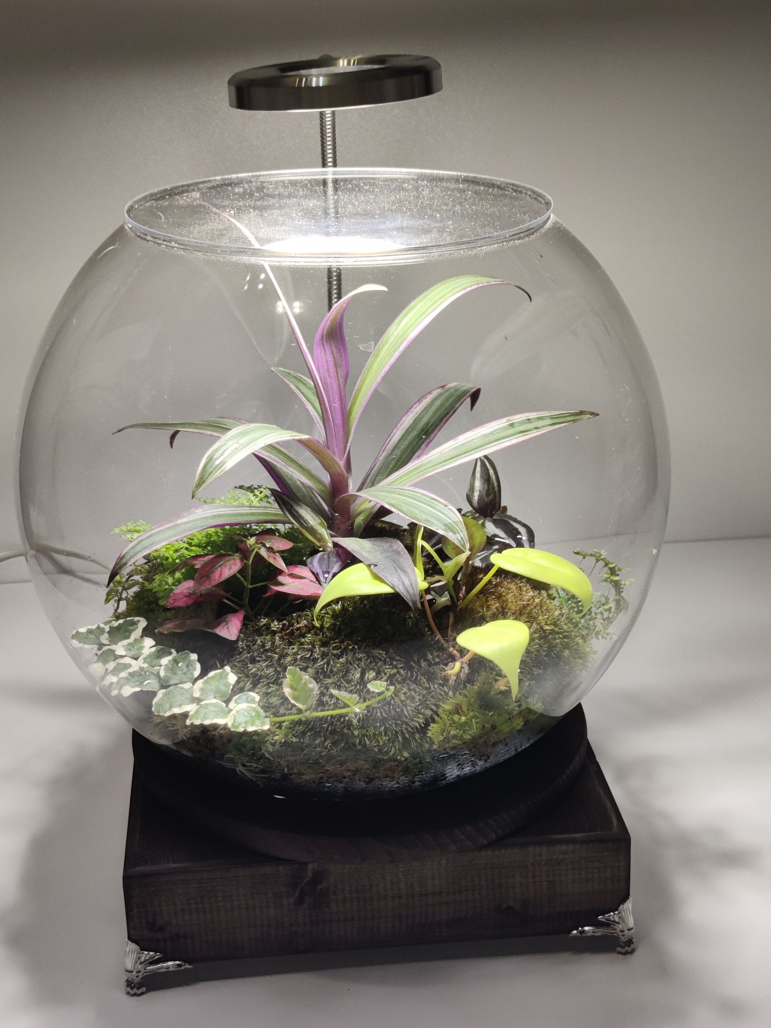 Obrotowa szklana kula pełna egzotycznych roślin terrarium